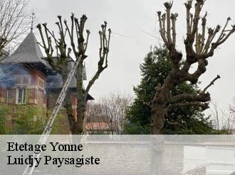 Etetage 89 Yonne  Lobry elagage 89