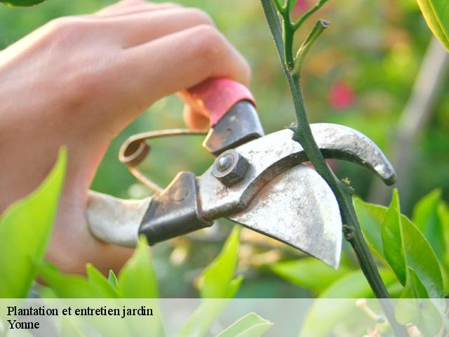 Plantation et entretien jardin Yonne 