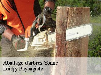 Abattage d'arbres 89 Yonne  Lobry elagage 89