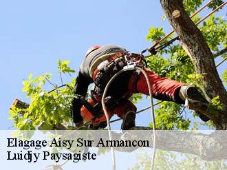 Elagage  aisy-sur-armancon-89390 Lobry elagage 89