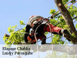 Elagage  chablis-89800 Lobry elagage 89