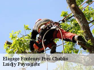 Elagage fontenay-pres-chablis-89800 Lobry elagage 89