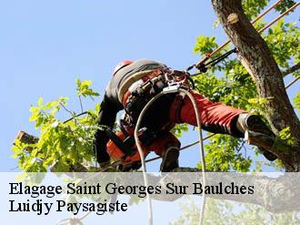 Elagage  saint-georges-sur-baulches-89000 Lobry elagage 89