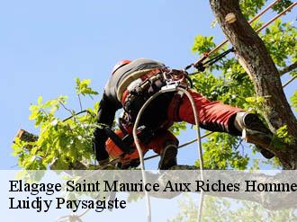 Elagage saint-maurice-aux-riches-hommes-89190 Lobry elagage 89