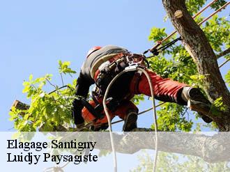 Elagage santigny-89420 Lobry elagage 89