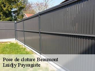 Pose de cloture  beaumont-89250 Lobry elagage 89