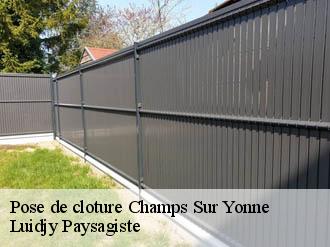 Pose de cloture  champs-sur-yonne-89290 Lobry elagage 89