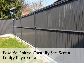 Pose de cloture  chemilly-sur-serein-89800 Lobry elagage 89