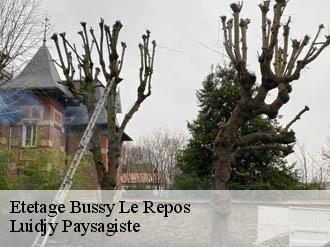 Etetage  bussy-le-repos-89500 Lobry elagage 89