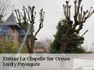 Etetage la-chapelle-sur-oreuse-89260 Lobry elagage 89