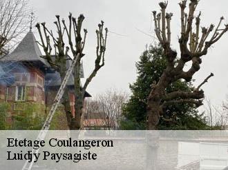 Etetage coulangeron-89580 Luidjy Paysagiste