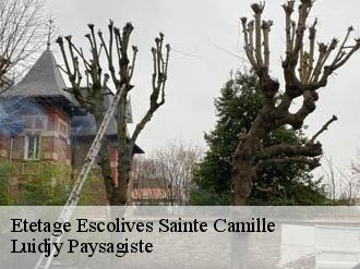 Etetage escolives-sainte-camille-89290 Luidjy Paysagiste