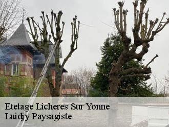 Etetage licheres-sur-yonne-89660 Lobry elagage 89