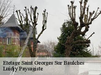 Etetage saint-georges-sur-baulches-89000 Lobry elagage 89