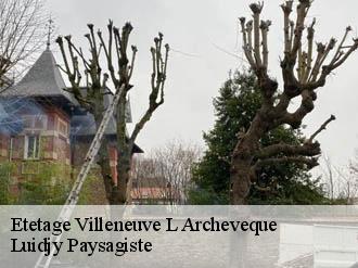 Etetage  villeneuve-l-archeveque-89190 Lobry elagage 89