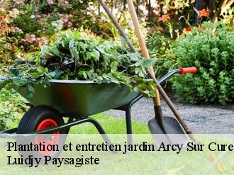 Plantation et entretien jardin  arcy-sur-cure-89270 Lobry elagage 89