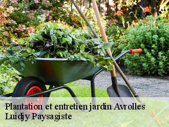 Plantation et entretien jardin avrolles-89600 Lobry elagage 89