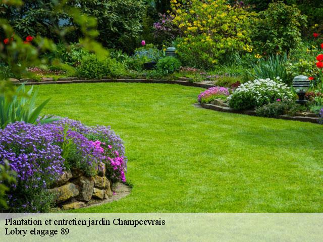 Plantation et entretien jardin  champcevrais-89220 Lobry elagage 89