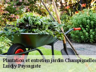 Plantation et entretien jardin champignelles-89350