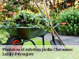 Plantation et entretien jardin  chevannes-89240 Lobry elagage 89