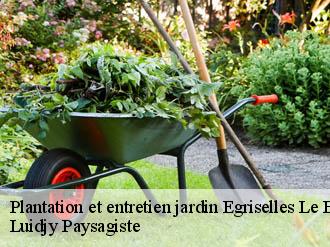 Plantation et entretien jardin  egriselles-le-bocage-89500 Lobry elagage 89