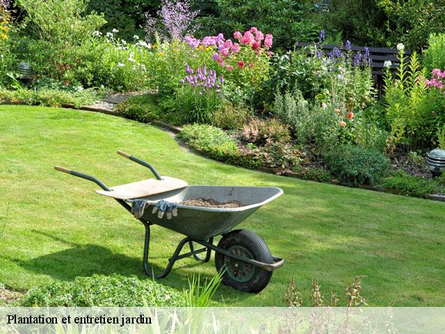 Plantation et entretien jardin