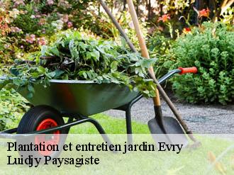 Plantation et entretien jardin evry-89140 Lobry elagage 89