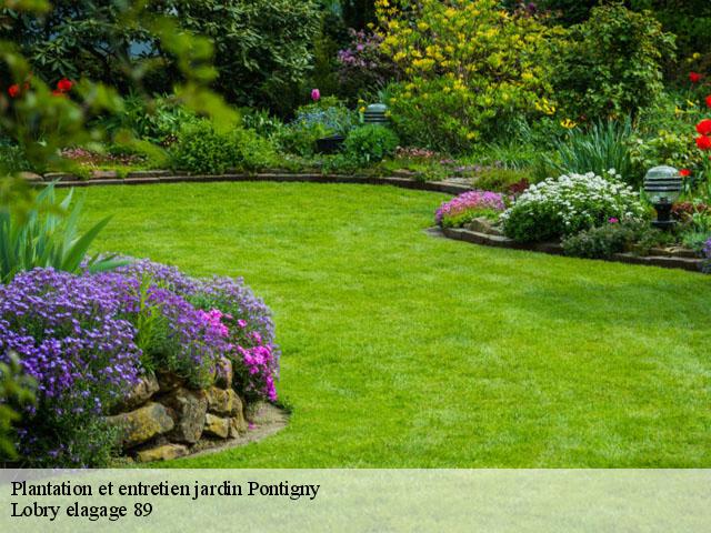 Plantation et entretien jardin  pontigny-89230 Lobry elagage 89