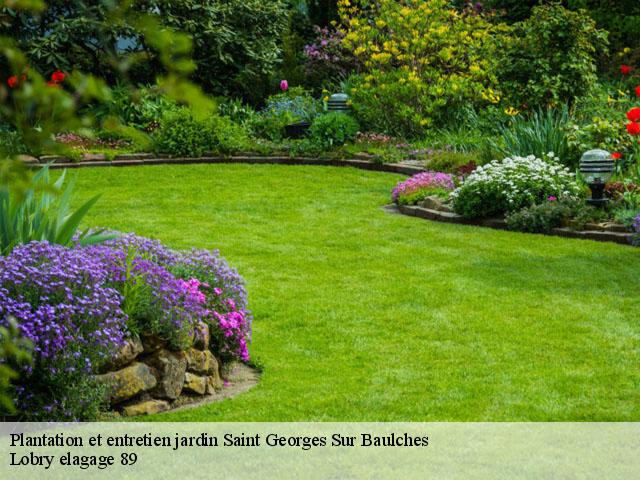 Plantation et entretien jardin  saint-georges-sur-baulches-89000 Lobry elagage 89