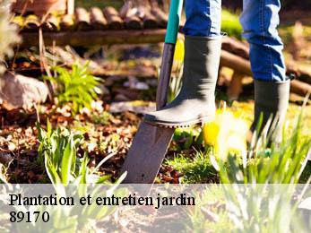 Plantation et entretien jardin 89170