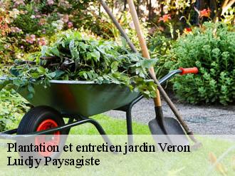 Plantation et entretien jardin veron-89510 Lobry elagage 89