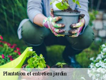 Plantation et entretien jardin