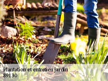 Plantation et entretien jardin 89130