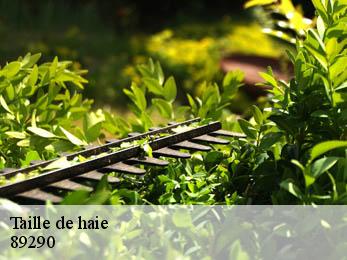 Taille de haie 89290