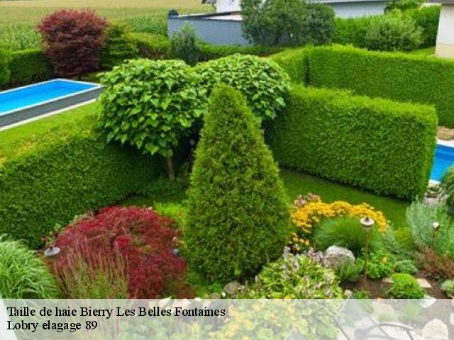 Taille de haie  bierry-les-belles-fontaines-89420 Lobry elagage 89
