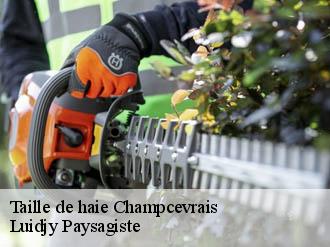 Taille de haie champcevrais-89220