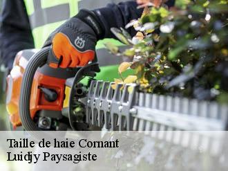 Taille de haie  cornant-89500 Lobry elagage 89