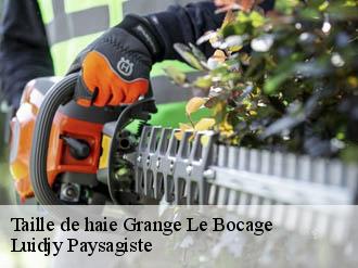 Taille de haie  grange-le-bocage-89260 Lobry elagage 89