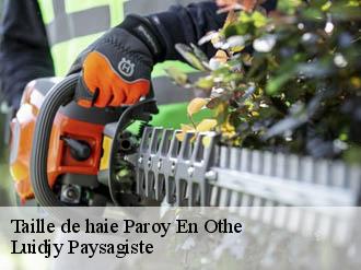 Taille de haie  paroy-en-othe-89210 Lobry elagage 89