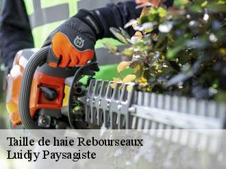 Taille de haie rebourseaux-89600 Lobry elagage 89