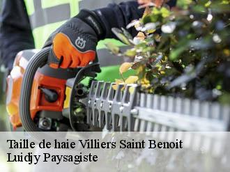 Taille de haie villiers-saint-benoit-89130 Lobry elagage 89