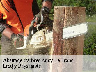 Abattage d'arbres  ancy-le-franc-89160 Lobry elagage 89