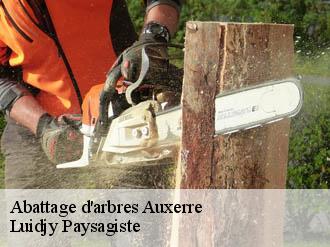 Abattage d'arbres  auxerre-89000 Lobry elagage 89