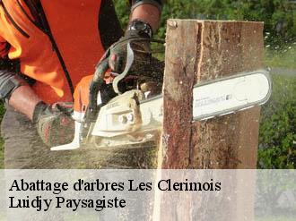 Abattage d'arbres les-clerimois-89190 Lobry elagage 89