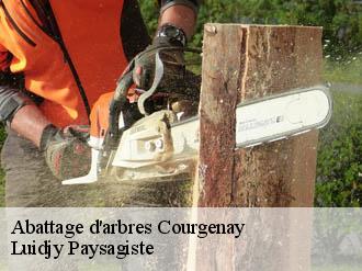 Abattage d'arbres courgenay-89190 Luidjy Paysagiste