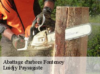 Abattage d'arbres fontenoy-89520 Lobry elagage 89
