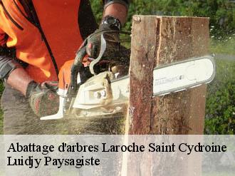 Abattage d'arbres  laroche-saint-cydroine-89400 Lobry elagage 89