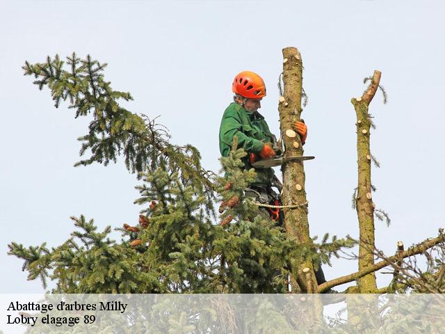 Abattage d'arbres  milly-89800 Lobry elagage 89