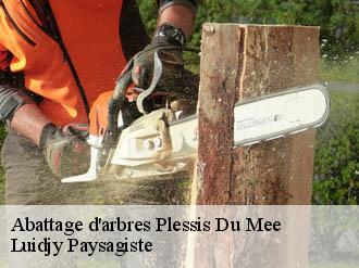 Abattage d'arbres plessis-du-mee-89260 Lobry elagage 89