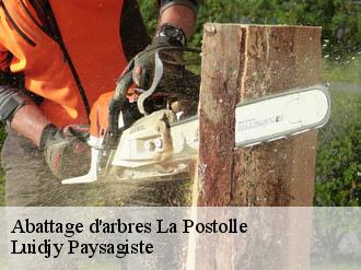 Abattage d'arbres  la-postolle-89260 Lobry elagage 89